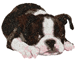  Machine Embroidery Designs Boston Terrier