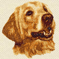  Machine Embroidery Designs Golden Retriever