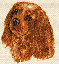  Machine Embroidery Designs Ruby Cavalier