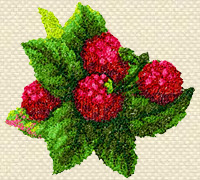 Machine Embroidery Design 'Raspberry'