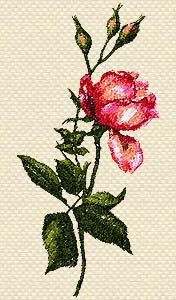 'ROSES' Machine Embroidery Design
