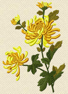 Machine Embroidery Design 'Chrysanthemum'