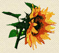 'Machine Embroidery Design 'Sunflower'